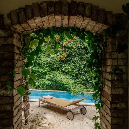 Palais Du Vertige 빌라 젤사