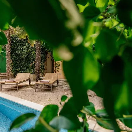 ヴィラ Palais Du Vertige イェルサ