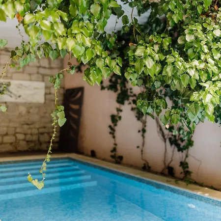 Palais Du Vertige ヴィラ イェルサ